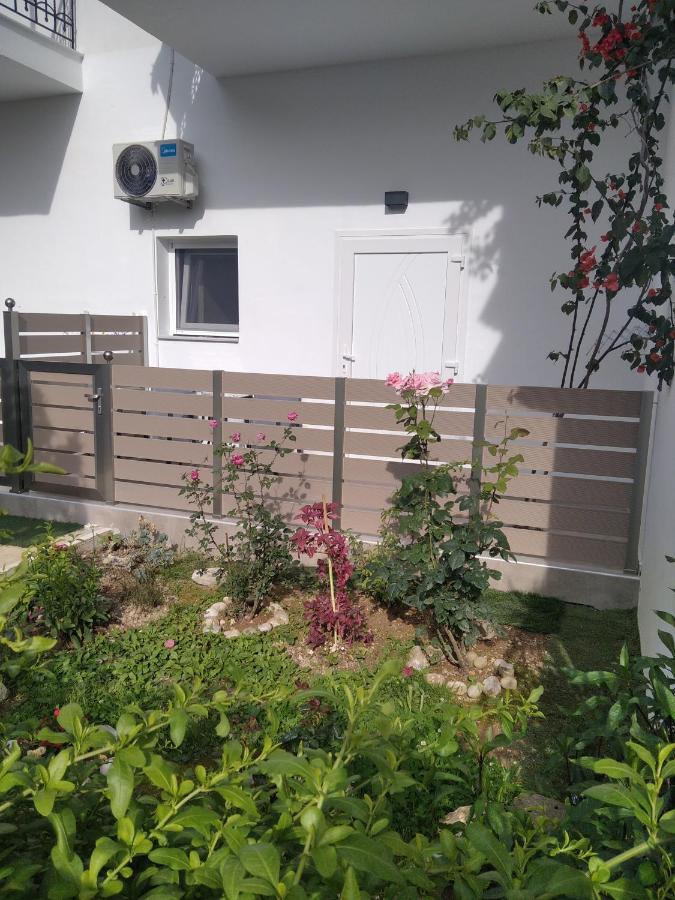 מלון פארגה Oasis מראה חיצוני תמונה
