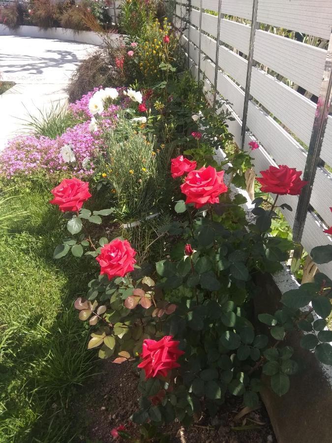 מלון פארגה Oasis מראה חיצוני תמונה